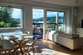 Ylellinen saunallinen kolmio järvinäkymällä Lahti